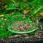 Glass Aquarium Shrimp Feeding Ring & Feeder Dish (Transparent, Floating, Bottom)