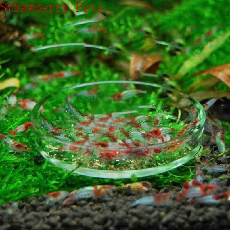 Glass Aquarium Shrimp Feeding Ring & Feeder Dish (Transparent, Floating, Bottom)