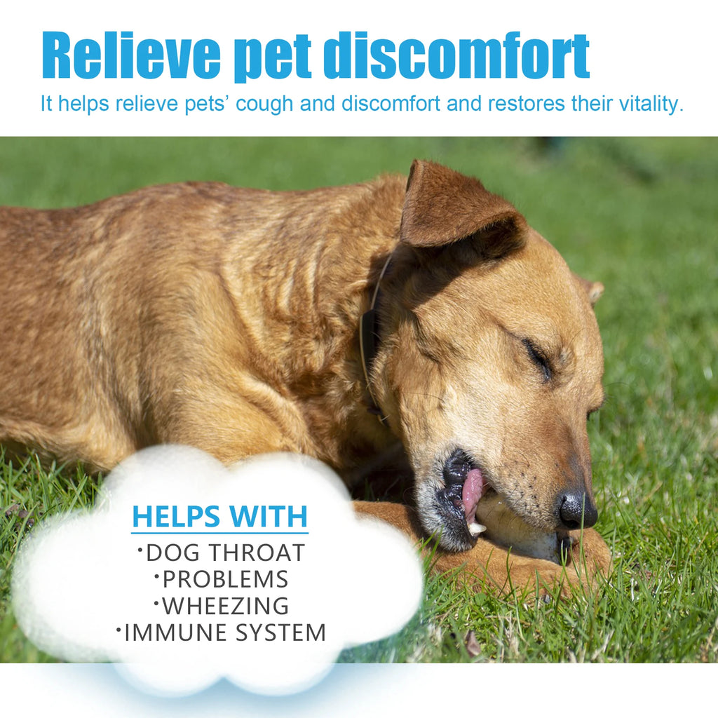 Herbal Cough & Runny Nose Drops for Dogs — Soothing Relief Support