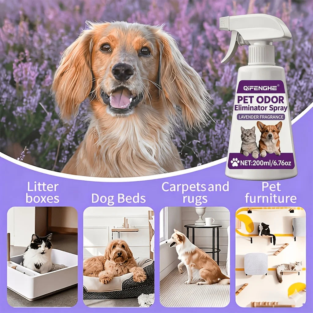 Pet Urine Odor Remover Spray — Fast-Drying, No-Residue Stain & Smell Eliminator