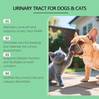 Pet Urine pH Maintenance Drops — Gentle Daily Bacteria-Reducing Formula
