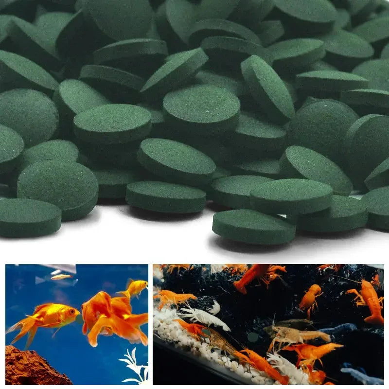Premium Spirulina Tablets for Fish & Shrimp 100–3000 Pack