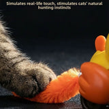 Wind-Up Bird Cat Teaser Toy — Chirping, Bite-Resistant, No Batteries