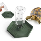 Anti-Slip Turtle Water & Food Bowl — Detachable Reptile Feeder Dish