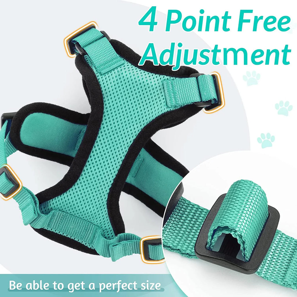 Anti-Escape Kitten Harness & Leash Set — Lightweight Breathable Vest