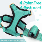 Anti-Escape Kitten Harness & Leash Set — Lightweight Breathable Vest