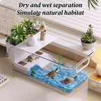 Clear Turtle Tank — Multi-Level Habitat for Basking & Semi-Aquatic Pets