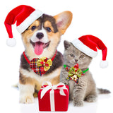 Christmas Dog Bowtie with Bell (5 or 10 Pack)