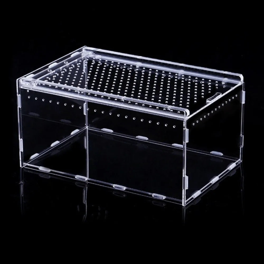 Clear Acrylic Reptile Terrarium — Ventilated Anti-Escape Habitat