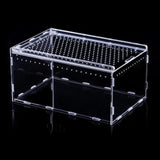 Clear Acrylic Reptile Terrarium — Ventilated Anti-Escape Habitat