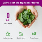100% Natural Silvervine Catnip — Potent Loose-Leaf Blend, 210ml