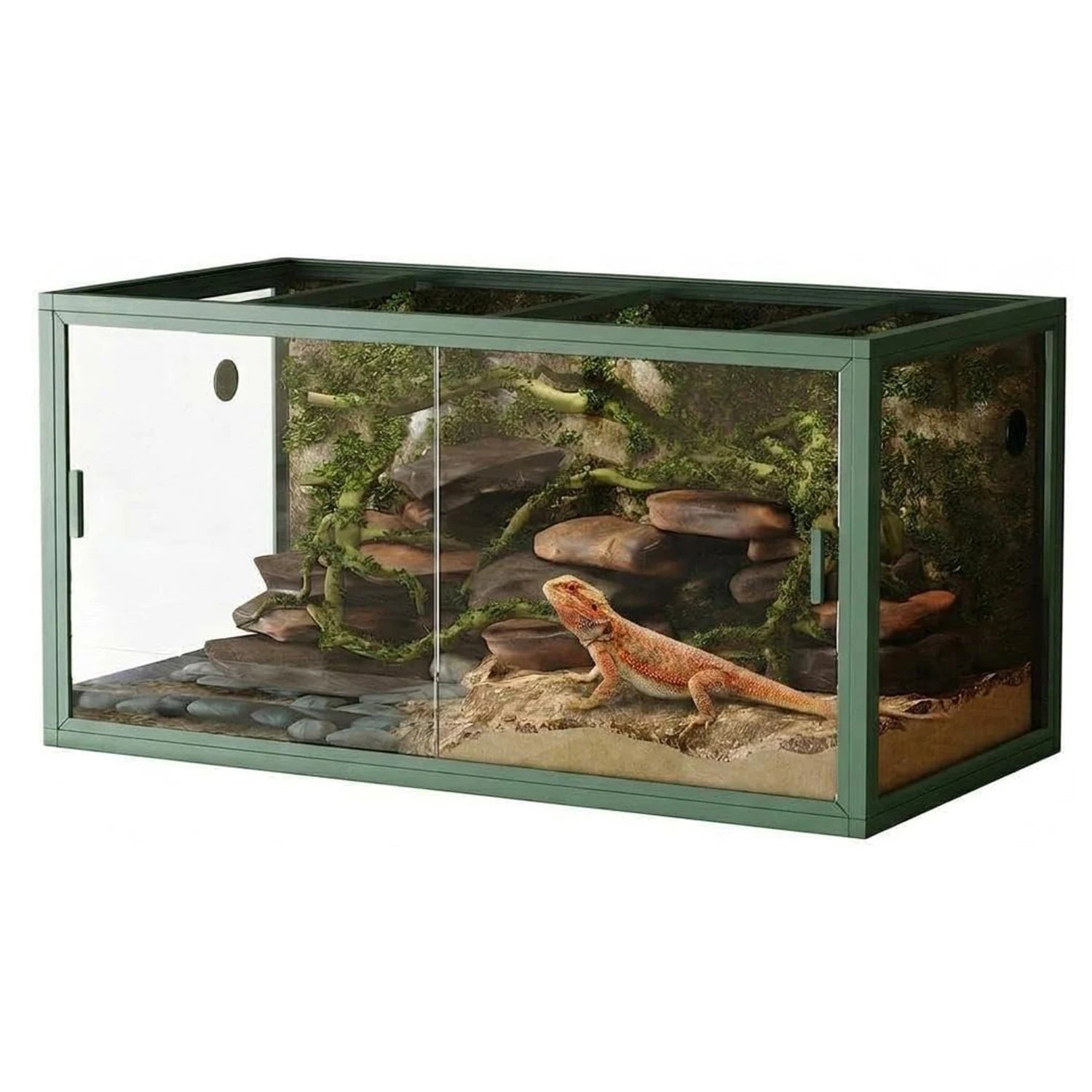 120 Gallon Front-Opening Glass Reptile Terrarium — For Bearded Dragons & Snakes