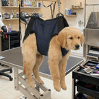 Dog Sling Carrier with Pockets (Breathable Mesh, Adjustable Strap)