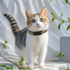 IP67 Waterproof GPS Smart Collar for Cats & Dogs - No Subscription WiFi Real-Time Tracker