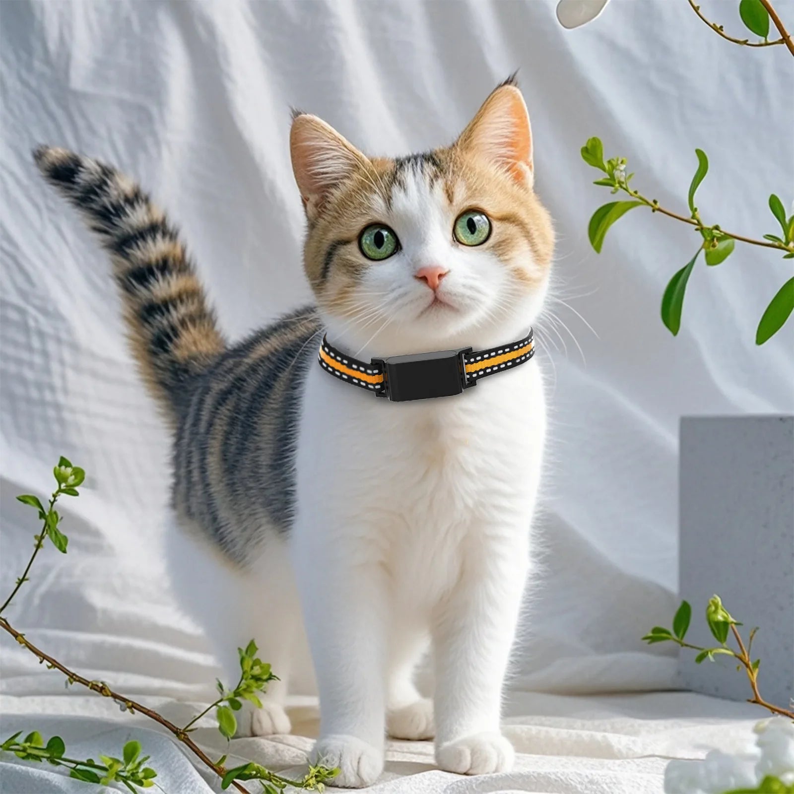 IP67 Waterproof GPS Smart Collar for Cats & Dogs - No Subscription WiFi Real-Time Tracker