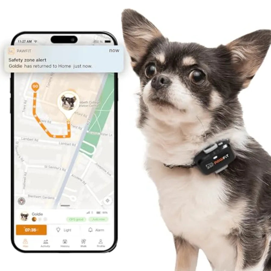 4G GPS Tracker for Small Dogs - Real-Time Tracking with Activity Monitoring (Onyx Black)