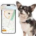 4G GPS Tracker for Small Dogs - Real-Time Tracking with Activity Monitoring (Onyx Black)