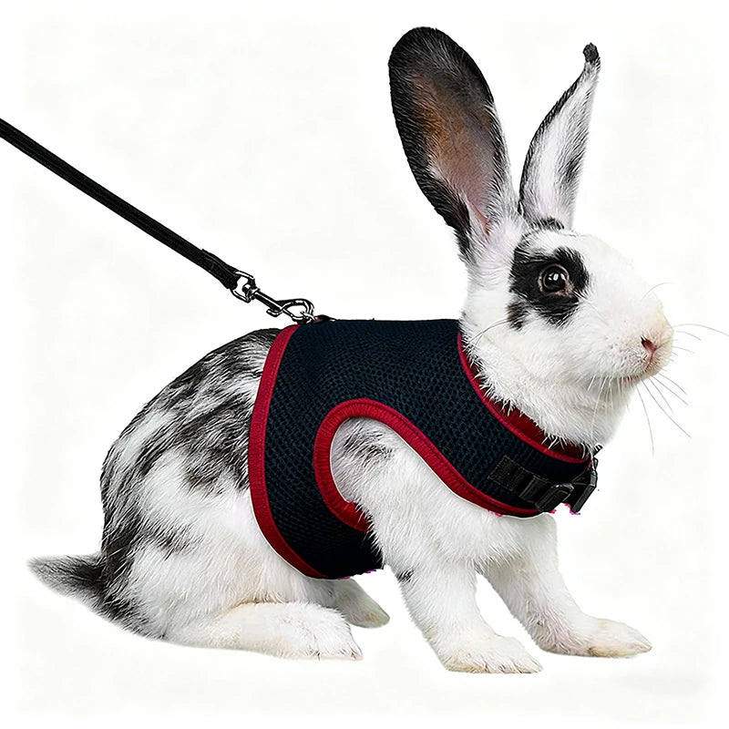 Mesh Breathable Harness & Leash Set — Summer Walking Gear for Rabbits & Ferrets