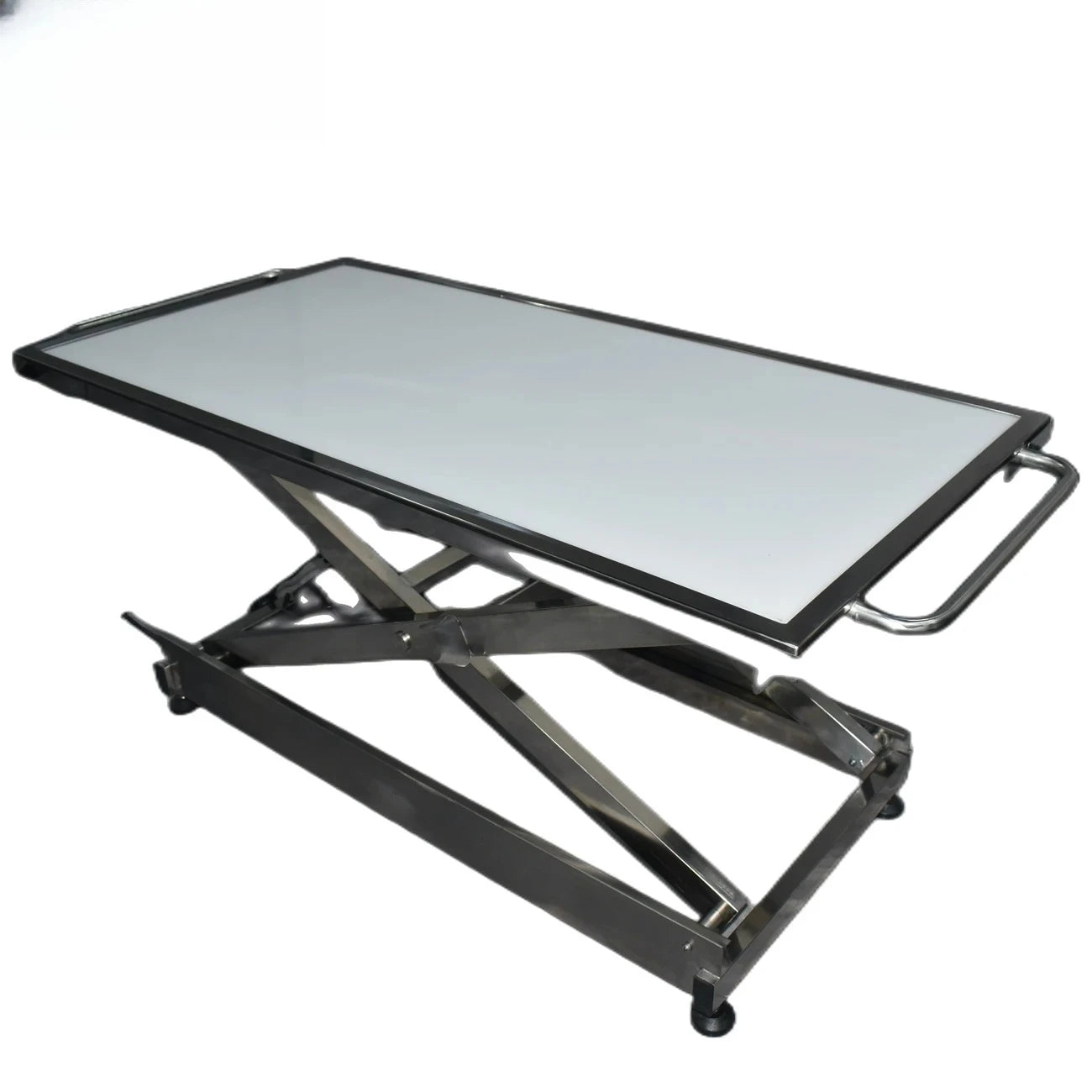 Veterinary Pet Stretcher & Multipurpose Examination Table