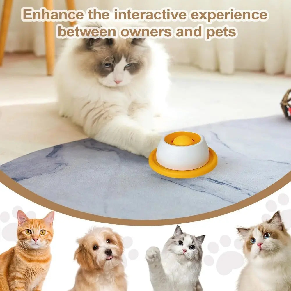 Suction Cup Lick Plate Slow Feeder — Bathtime & Dental Toy for Cats & Dogs