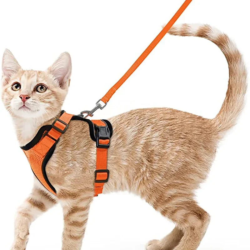 Anti-Escape Kitten Harness & Leash Set — Lightweight Breathable Vest