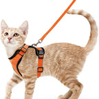 Anti-Escape Kitten Harness & Leash Set — Lightweight Breathable Vest