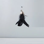 Suction Cup Feather & Bell Cat Teaser
