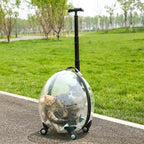 Transparent Large Capacity Handheld Pet Carrier & Portable Travel Cart for Cats & Dogs