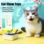 Natural Peppermint Cat Chew Stick