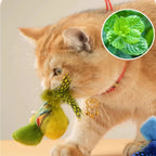 Chirping Electric Bird Toy — Catnip Hanging Cat Toy, 3-Pack