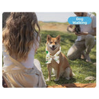 Dog Cooling Ice Scarf 2-Pack (Breathable Towel, Adjustable, 6 Print Styles)