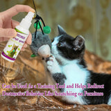 Catnip Training Spray for Cats (60ml)
