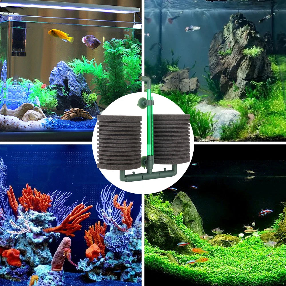 Aquarium Double-Head Sponge Filter (Air-Powered, Dual Sponge, Water Purifying)
