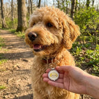 Metal NFC Pet ID Pendant with Smart Touch-to-Find Technology