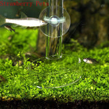 Glass Aquarium Shrimp Feeding Ring & Feeder Dish (Transparent, Floating, Bottom)