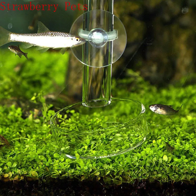 Glass Aquarium Shrimp Feeding Ring & Feeder Dish (Transparent, Floating, Bottom)