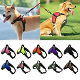 Adjustable Dog Harness & 150cm Leash Set — Reflective Design