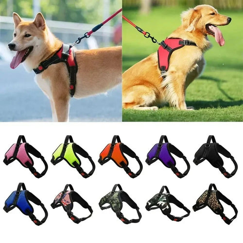 Adjustable Dog Harness & 150cm Leash Set — Reflective Design