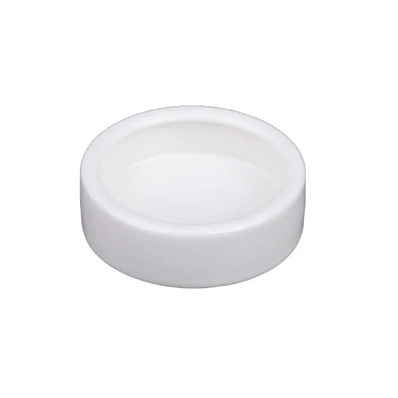 Anti-Escape Ceramic Reptile Feeder Bowl — Worm-Proof Design for Geckos & Snakes
