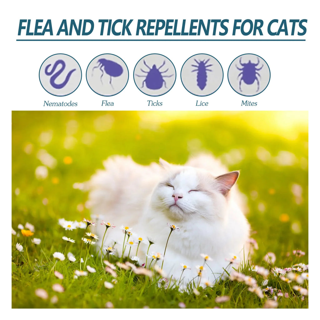 Waterproof Flea & Tick Control Liquid — Fast-Acting Plant Extract Formula, 50ml