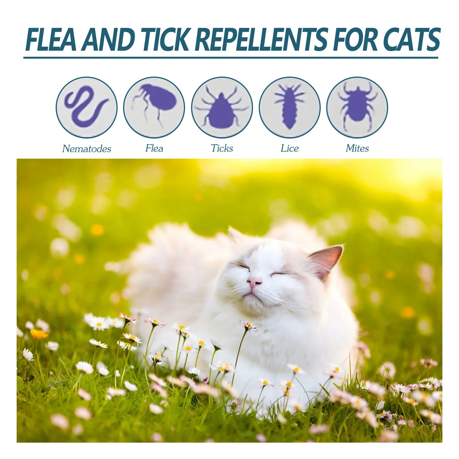 Waterproof Flea & Tick Control Liquid — Fast-Acting Plant Extract Formula, 50ml