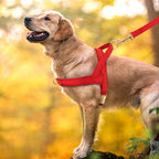 Personalized Engraved Dog Harness