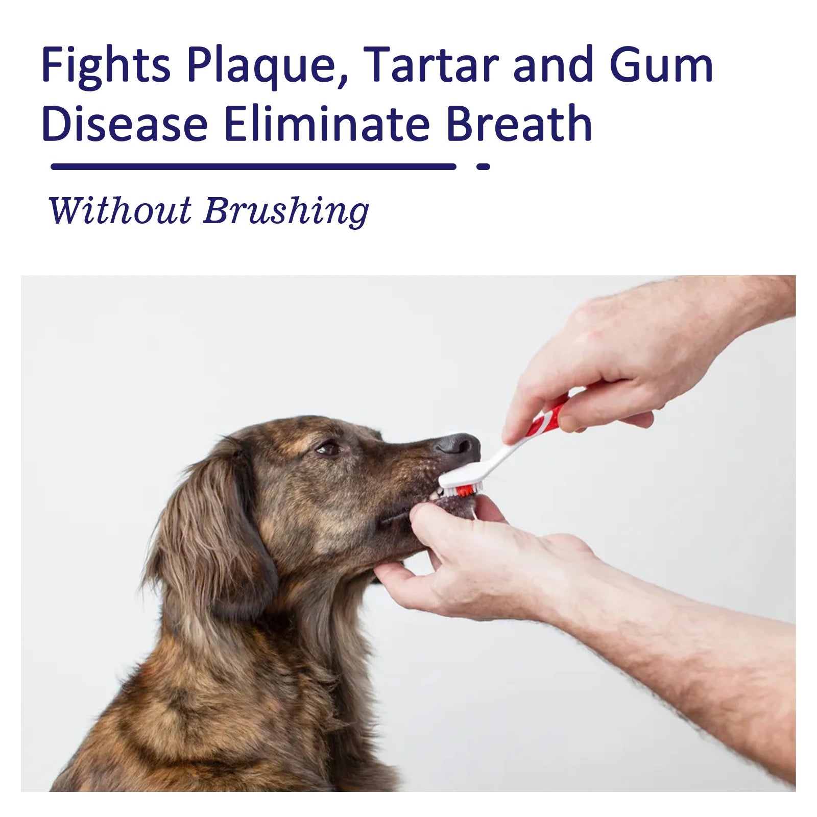 Whitening Pet Toothpaste — Reduces Tartar & Eliminates Bad Breath, 50g