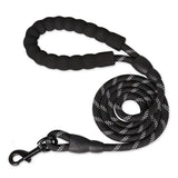 Adjustable Dog Harness & 150cm Leash Set — Reflective Design