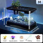 Large Transparent Aquarium Tank with Lid (Spill-Proof, Clear View)