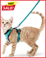 Anti-Escape Kitten Harness & Leash Set — Lightweight Breathable Vest