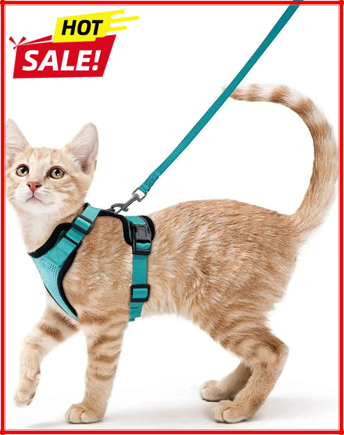 Anti-Escape Kitten Harness & Leash Set — Lightweight Breathable Vest