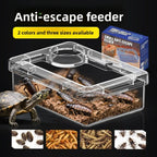 Anti-Overturn Reptile Feeding Bowl — Clear Escape-Proof Insect Dish