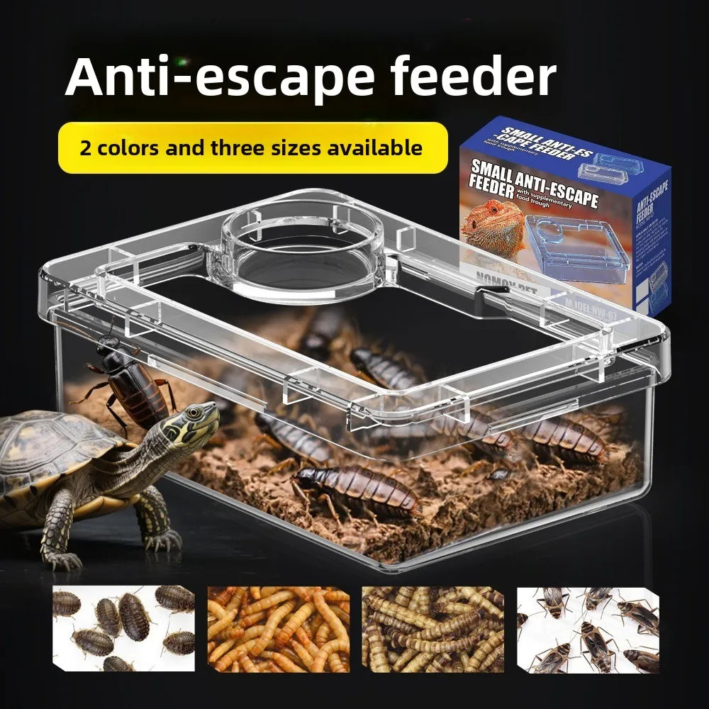 Anti-Overturn Reptile Feeding Bowl — Clear Escape-Proof Insect Dish