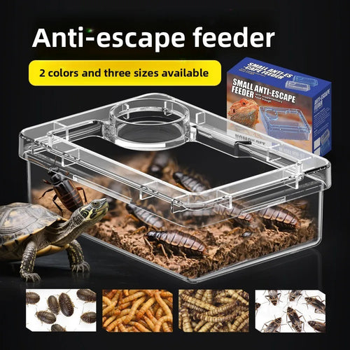 Anti-Overturn Reptile Feeding Bowl — Clear Escape-Proof Insect Dish